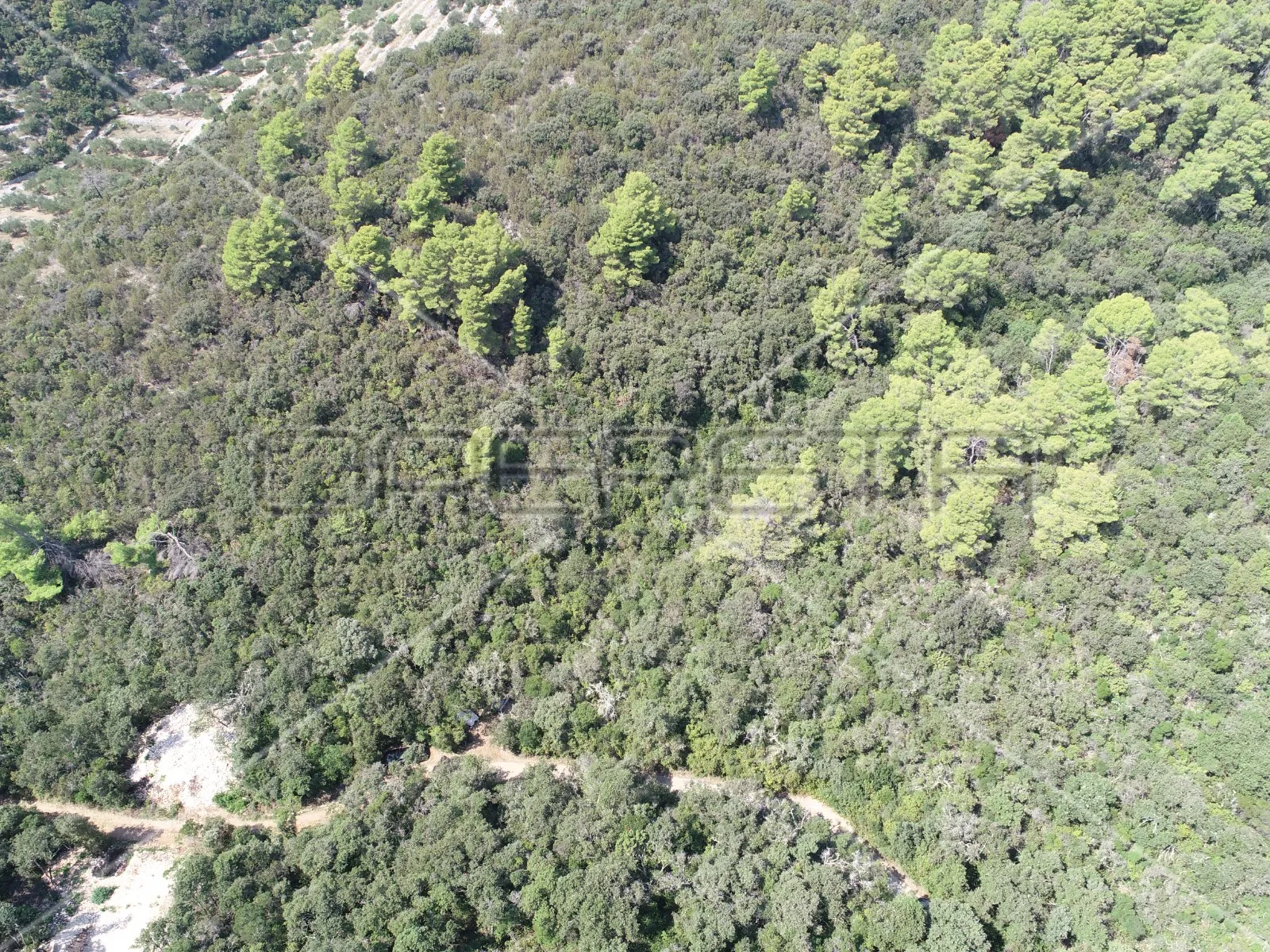 zemljište 8.079 m2 blizu mora, uvala rasohatica, korčula - slika 14