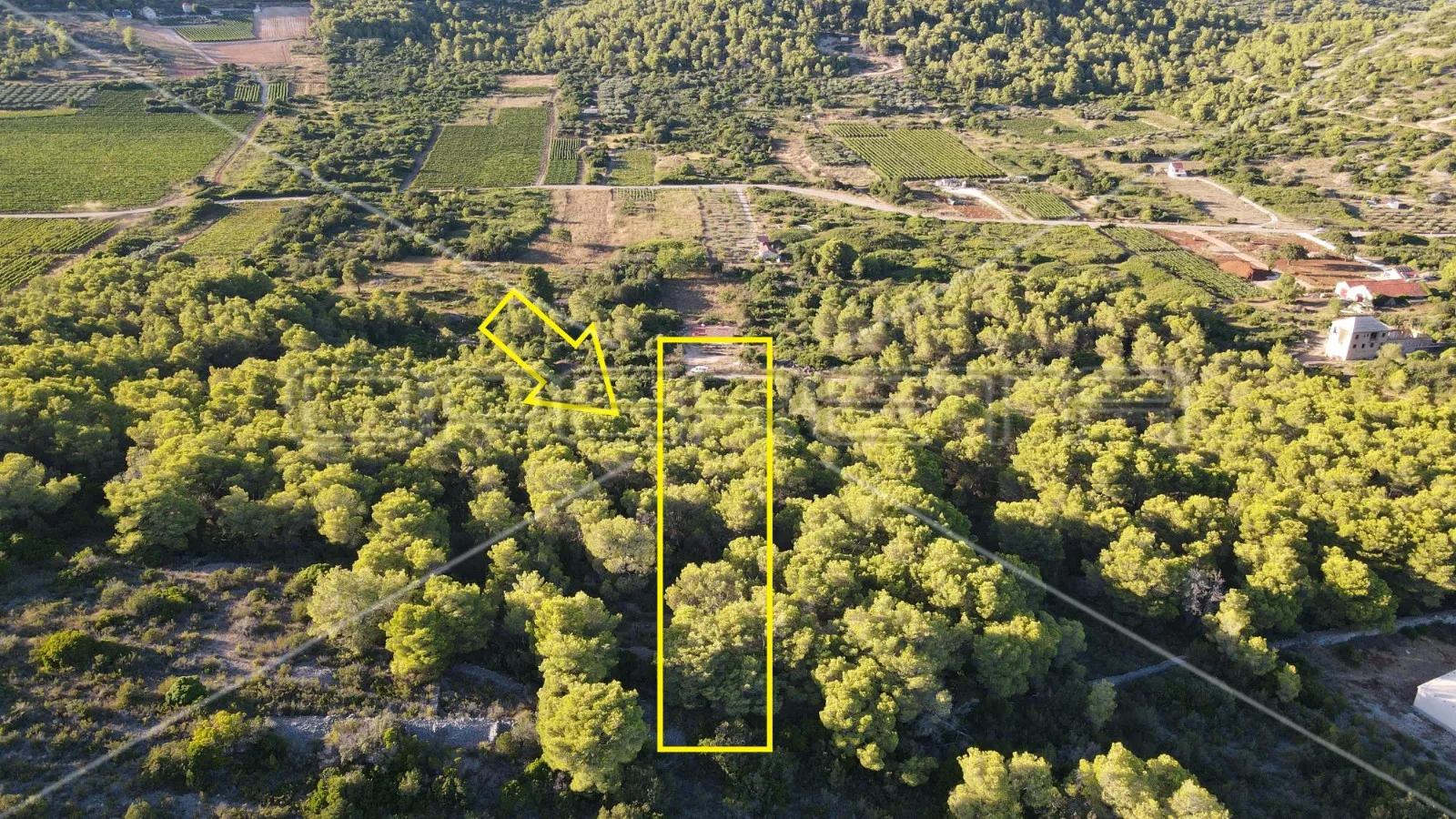zemljište 4.105 m2, pravilan oblik i otovoren pogled na more, otok vis - slika 3