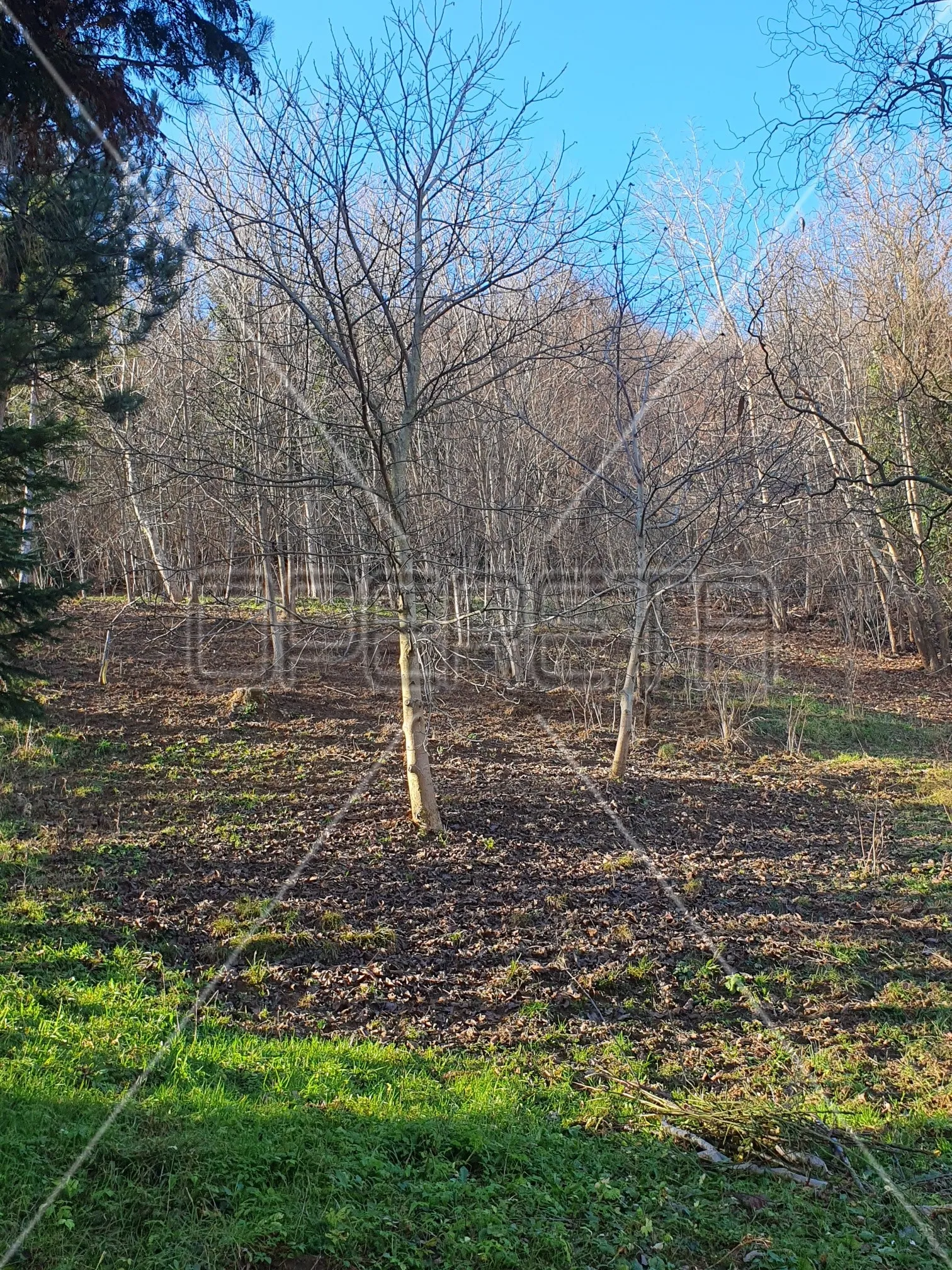 ulica dubravica, gornji stenjevec, 2.549,00 m2, 80.000,00 eur - slika 4