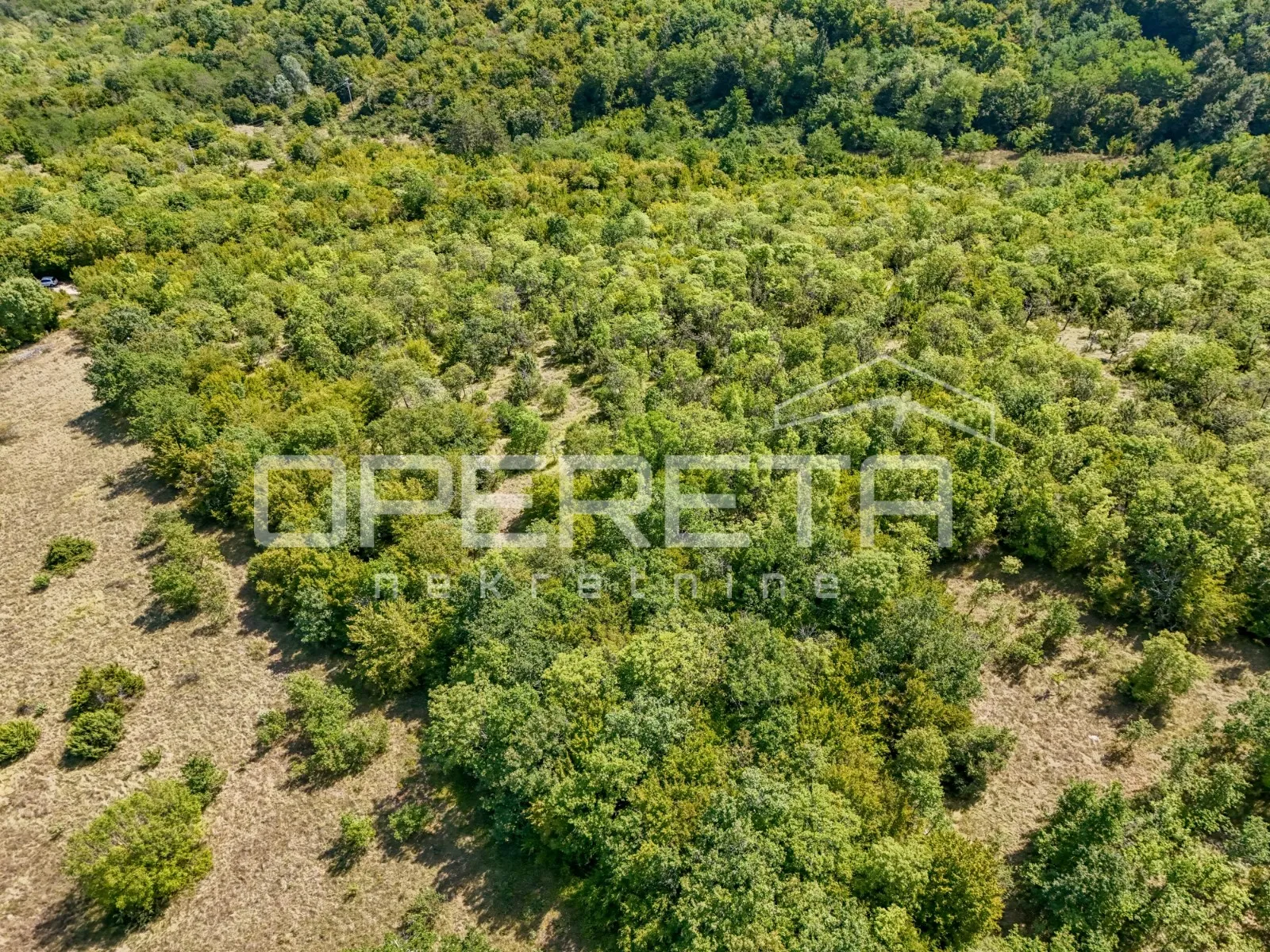 istra, šuma u okolici karojbe - slika 3