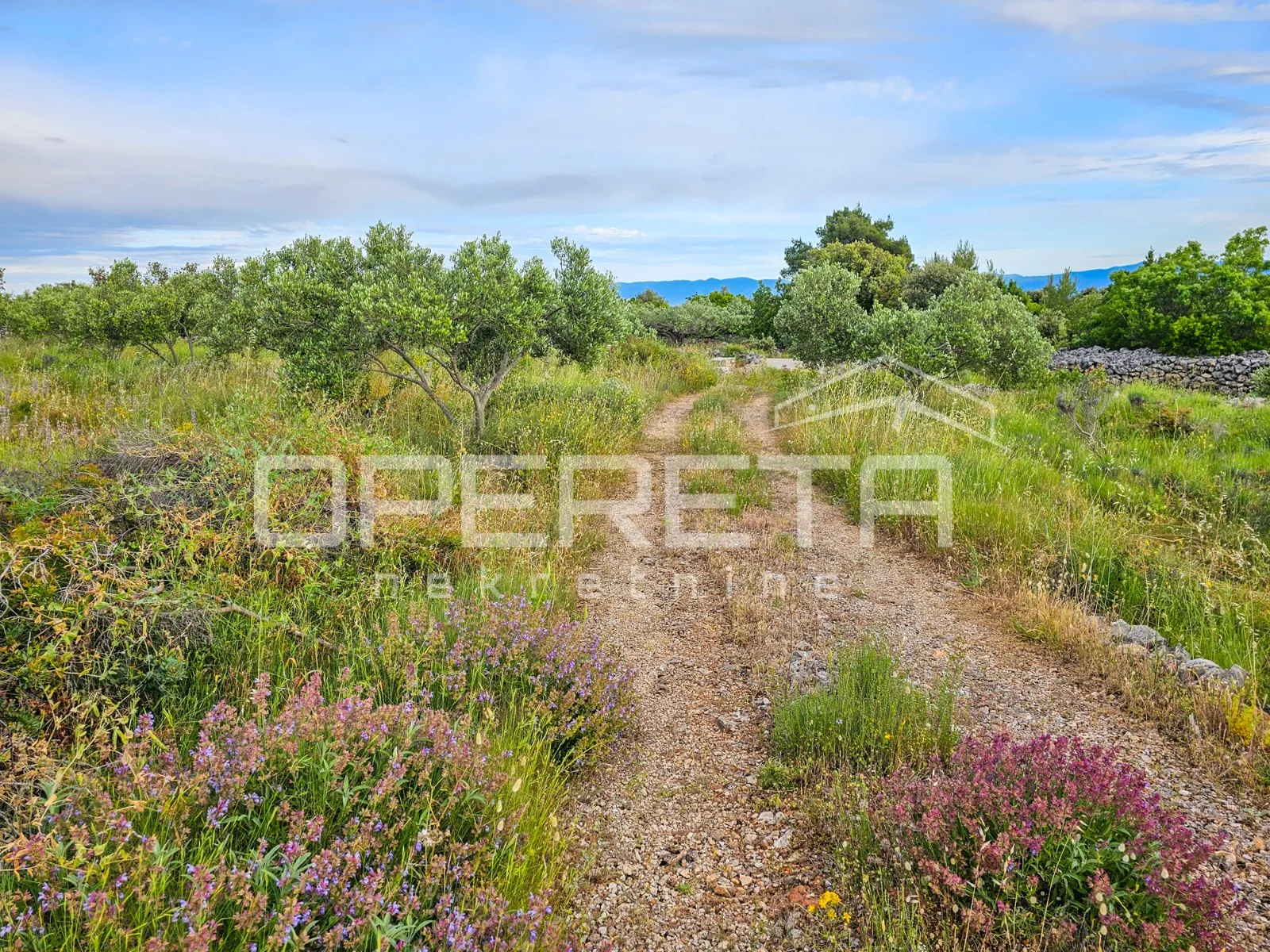 veliko poljoprivredno imanje na vrhu hvara s panoramskim pogledom - slika 5