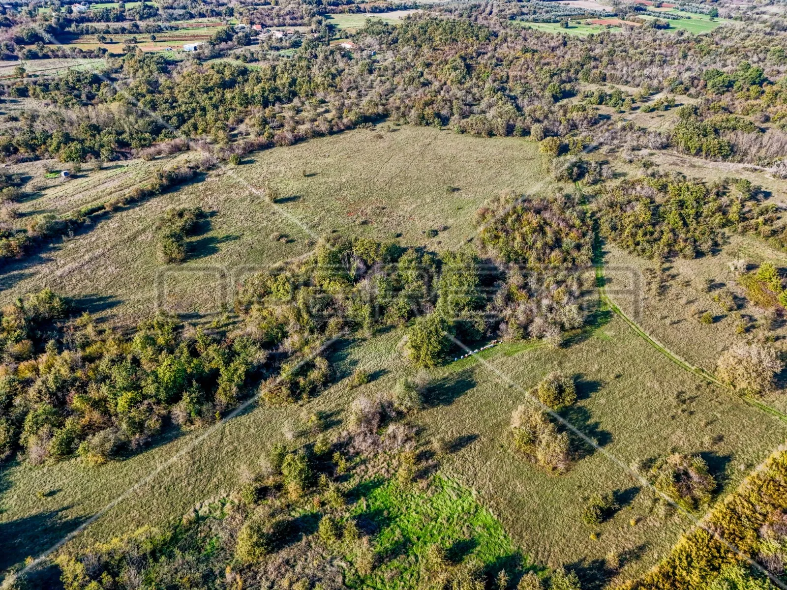 prostrano poljoprivredno zemljište 67900m2 marčana - slika 7