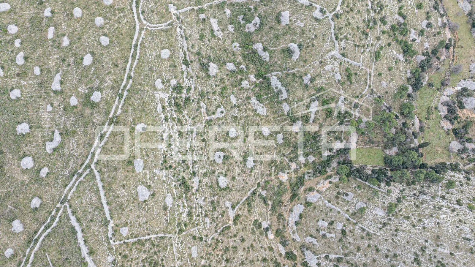 prostrano poljoprivredno zemljište od 25,928 m2 na otoku braču - slika 4