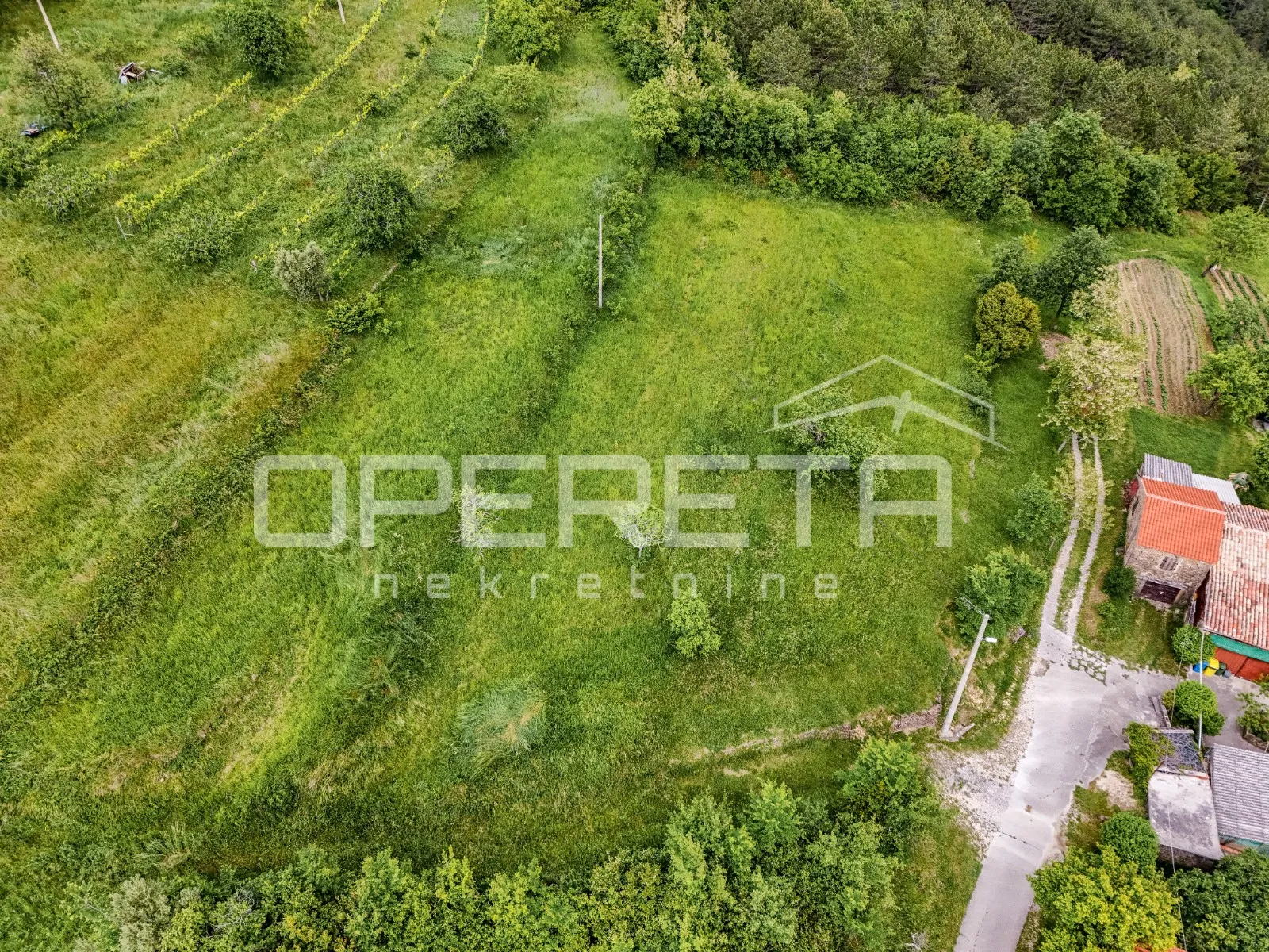 istra, motovun okolica- građevinsko i poljoprivredno zemljište - slika 7