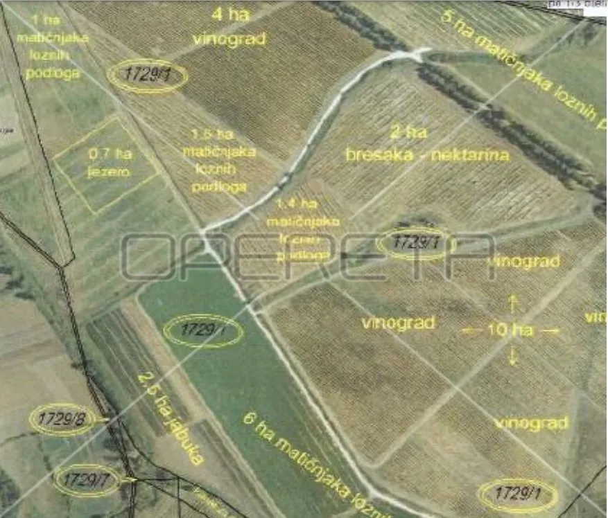 grgurice, poličnik, 511.213,00 m2, 4.500.001,00 eur - slika 5