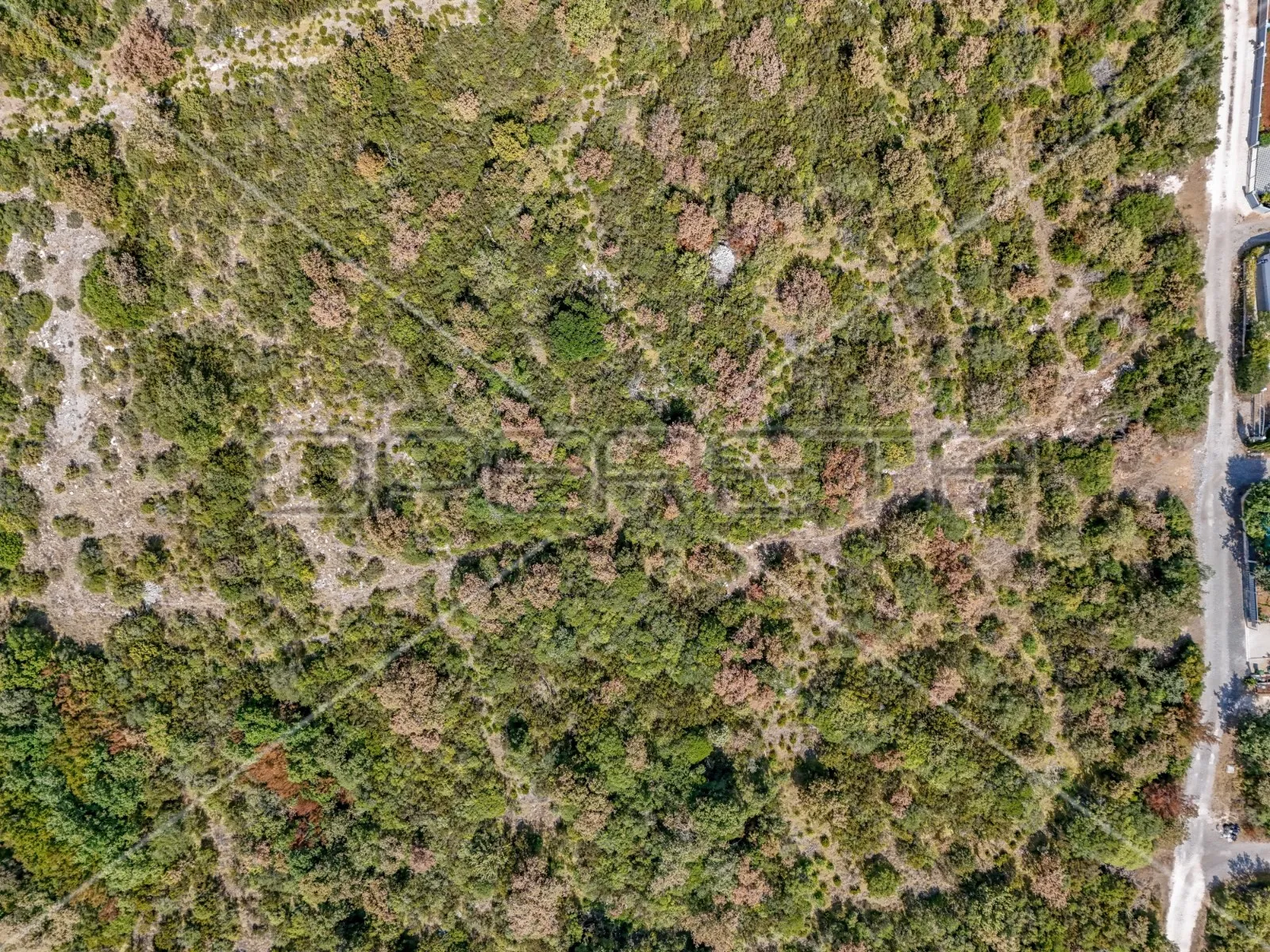 istra, vodnjan - okolica, poljoprivredno zemljište 21486 m2 - slika 3