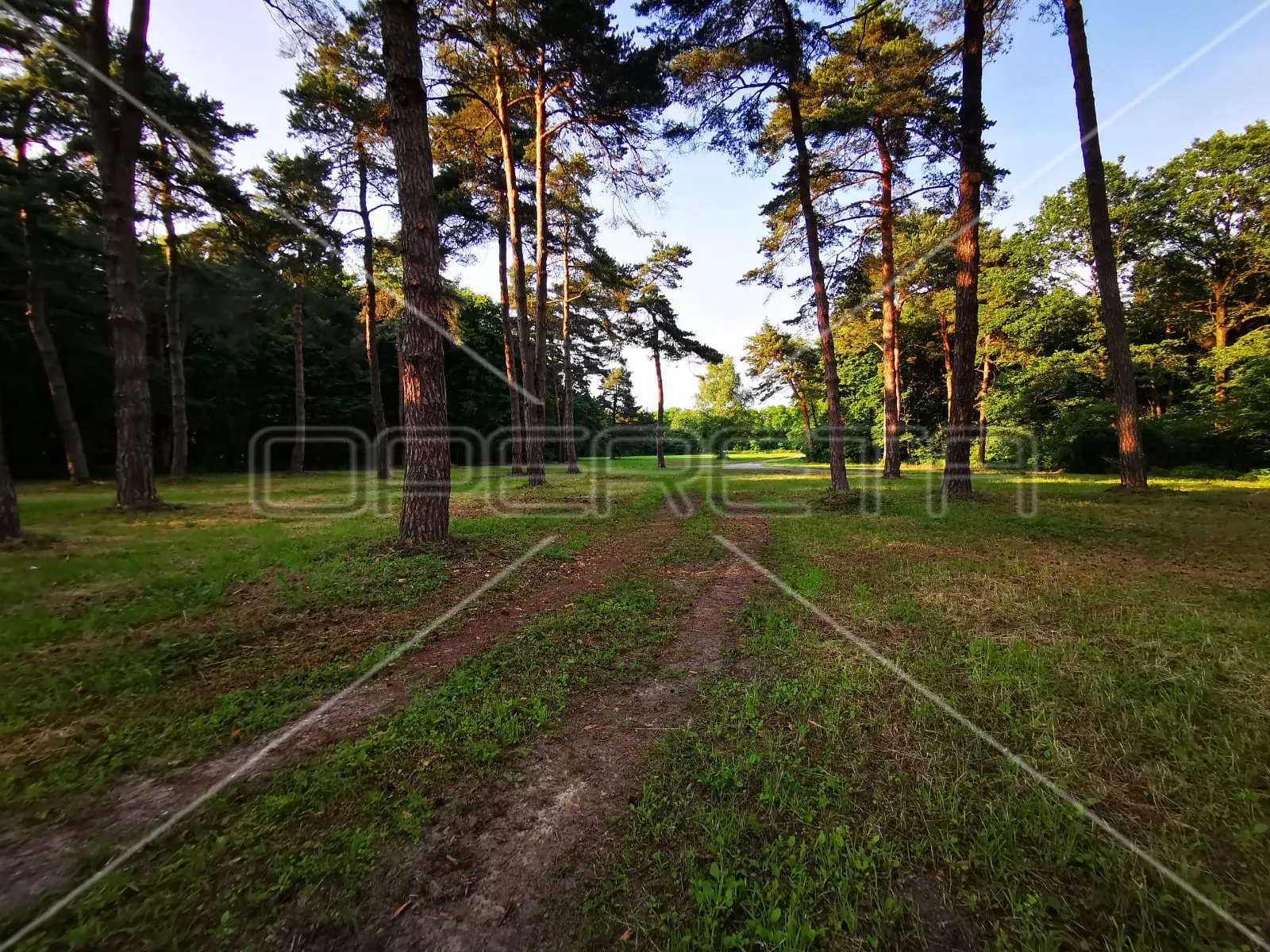 mačkovec, mačkovec, 55.355,00 m2, 700.000,00 eur - slika 13