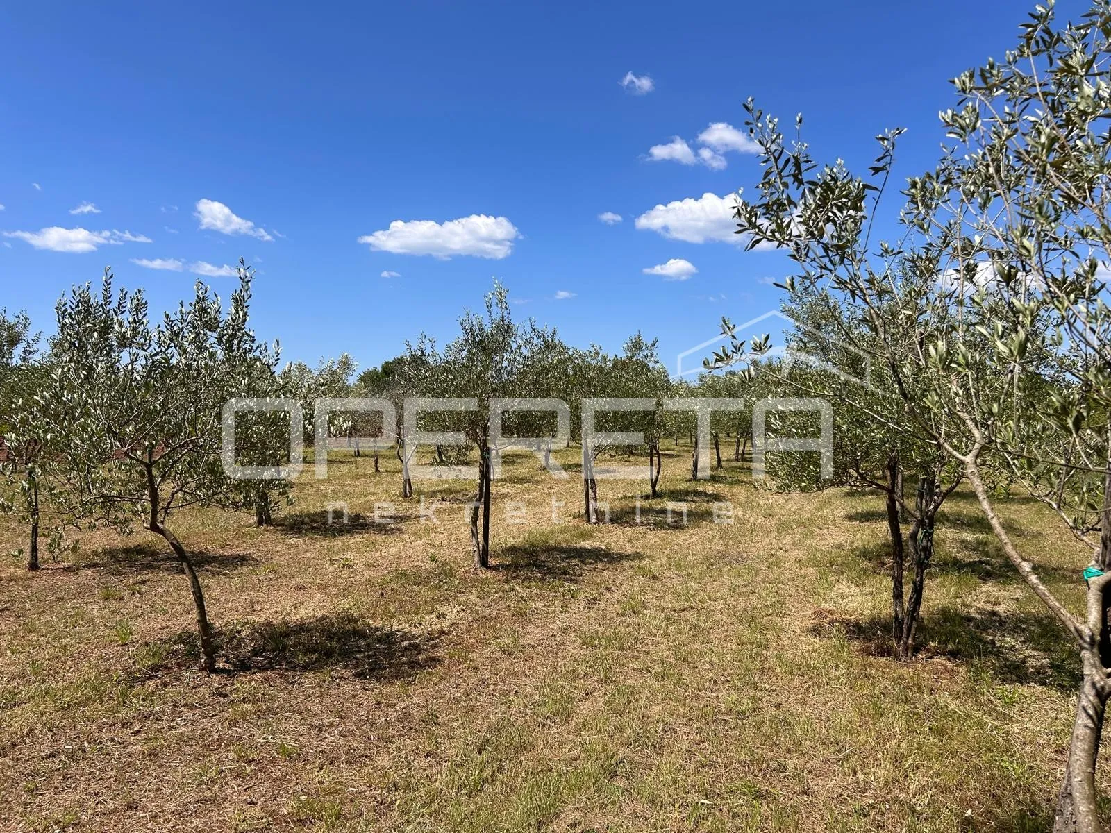 juršići, juršići, 2.449,00 m2, 83.000,00 eur - slika 6