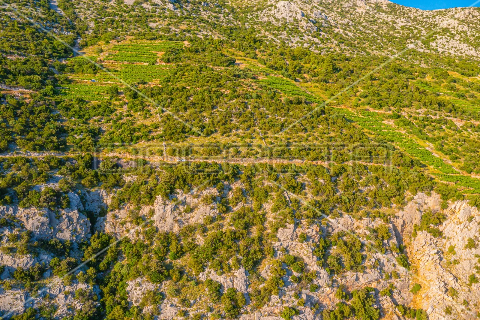 zemljište, poljoprivredni potencijal u potomju, 34.923 m2, pelješac - slika 8