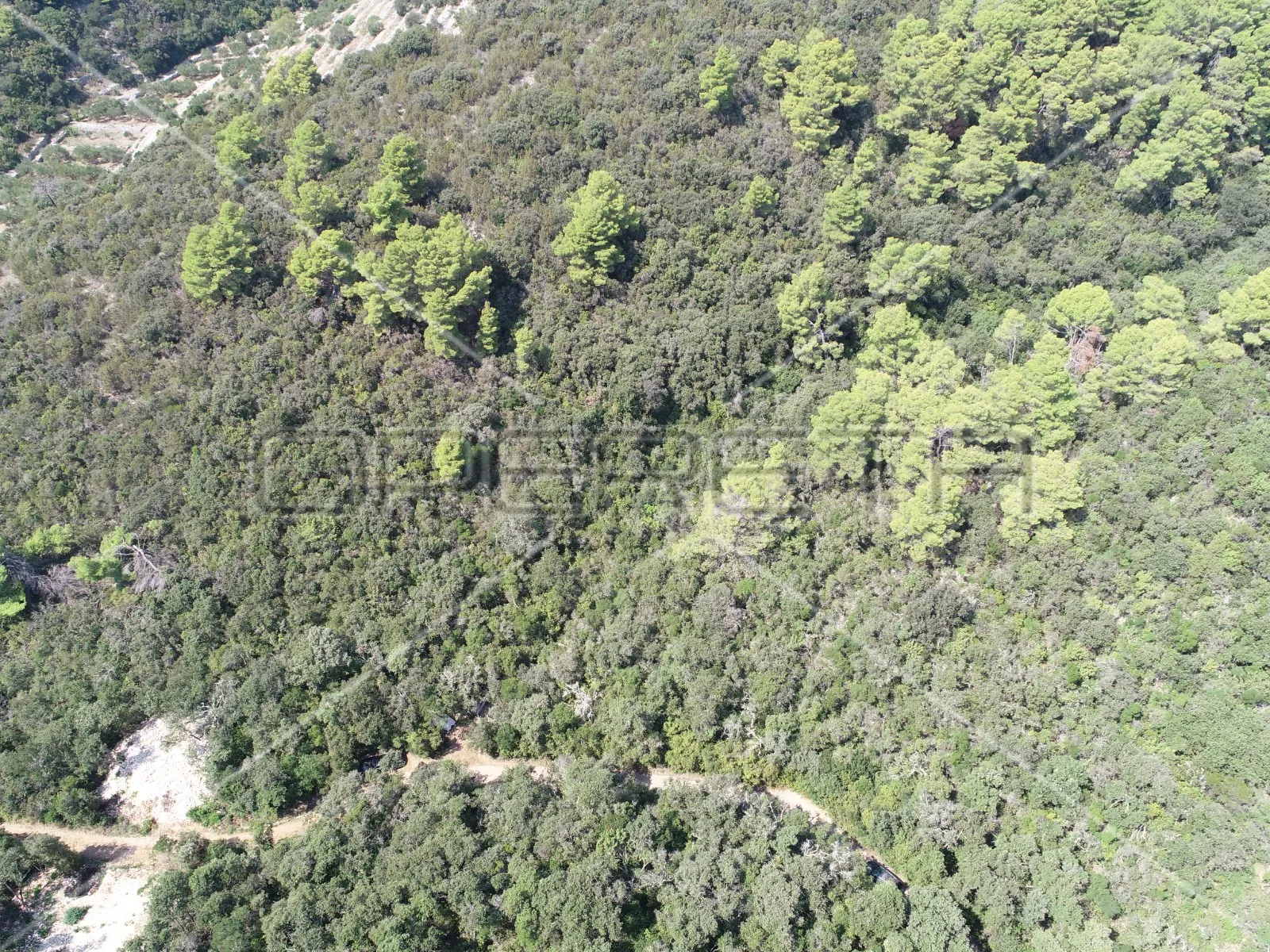 zemljište 8.079 m2 blizu mora, uvala rasohatica, korčula - slika 15