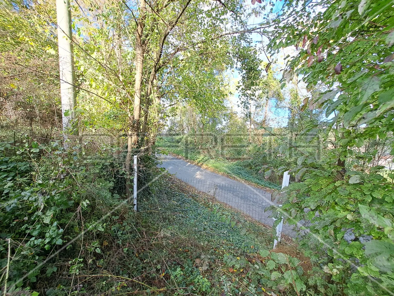 hrebine , hrebine, 2.877,00 m2, 39.000,00 eur - slika 9