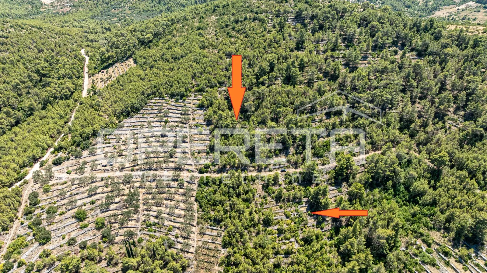 poljoprivredno zemljište,8956m2, u prirodnom okruženju – vela luka - slika 3