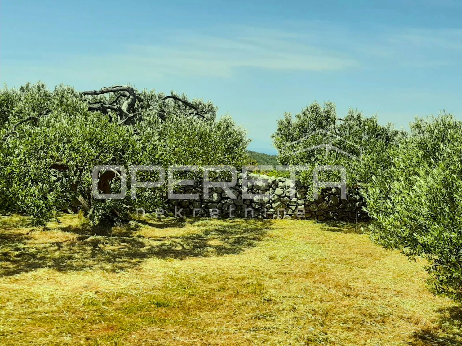 poljoprivredno zemljište, 4.834 m2, splitska, brač - slika 4