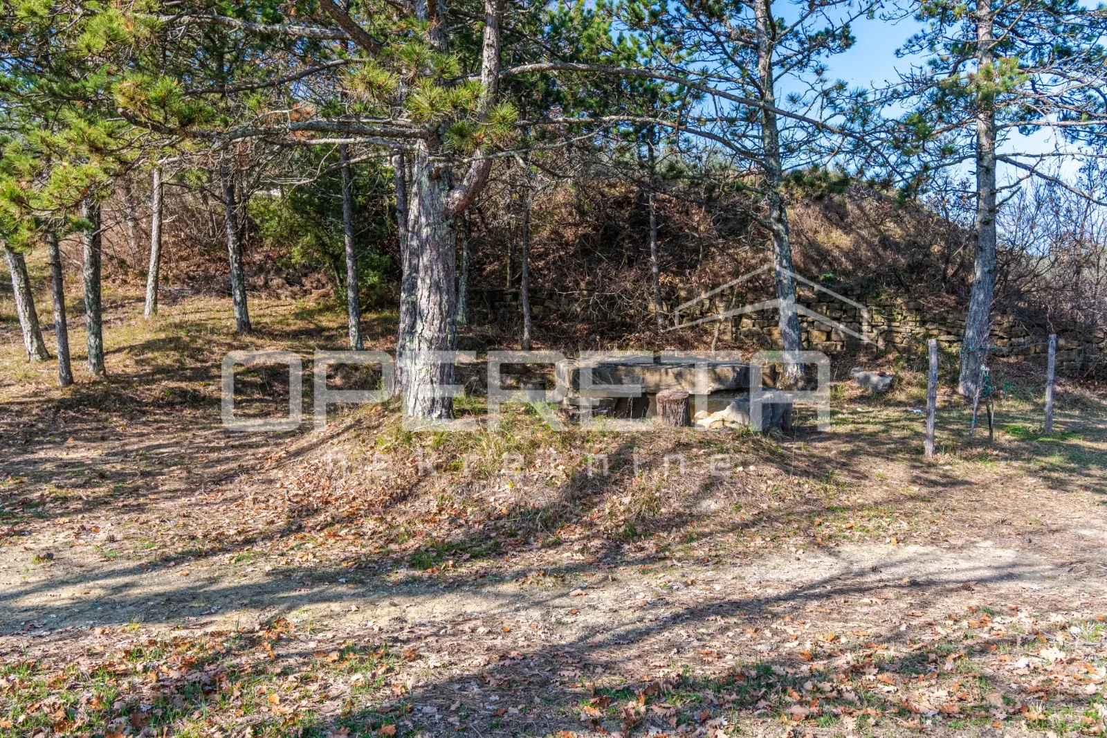 veliko imanje od 170 000 m2 s predivnim pogledom - slika 20