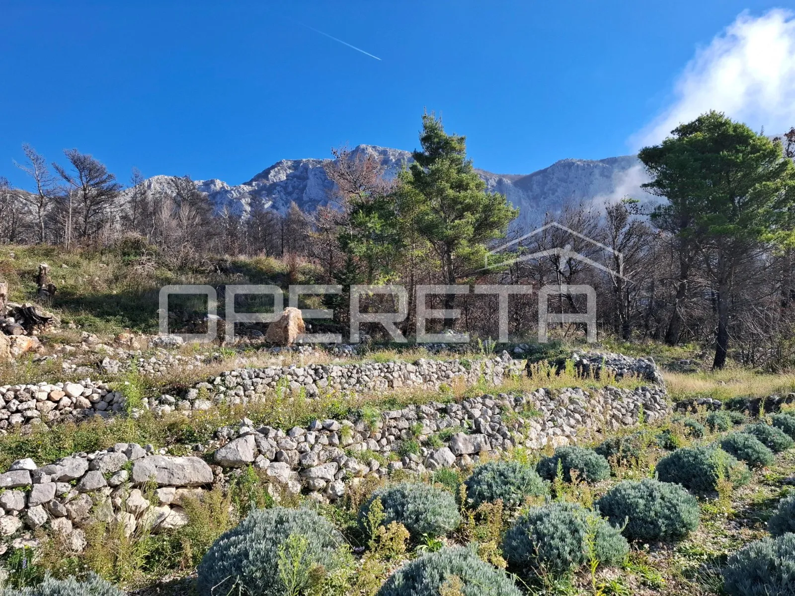podgora - poljoprivredno zemljište s panoramskim pogledom - slika 7