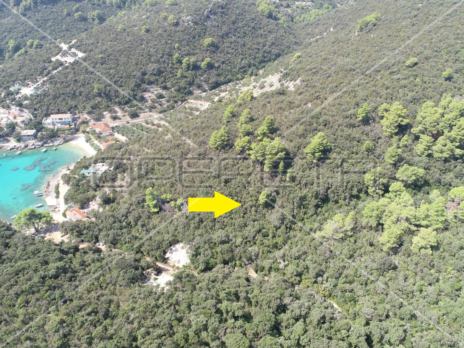 zemljište 8.079 m2 blizu mora, uvala rasohatica, korčula - slika 4