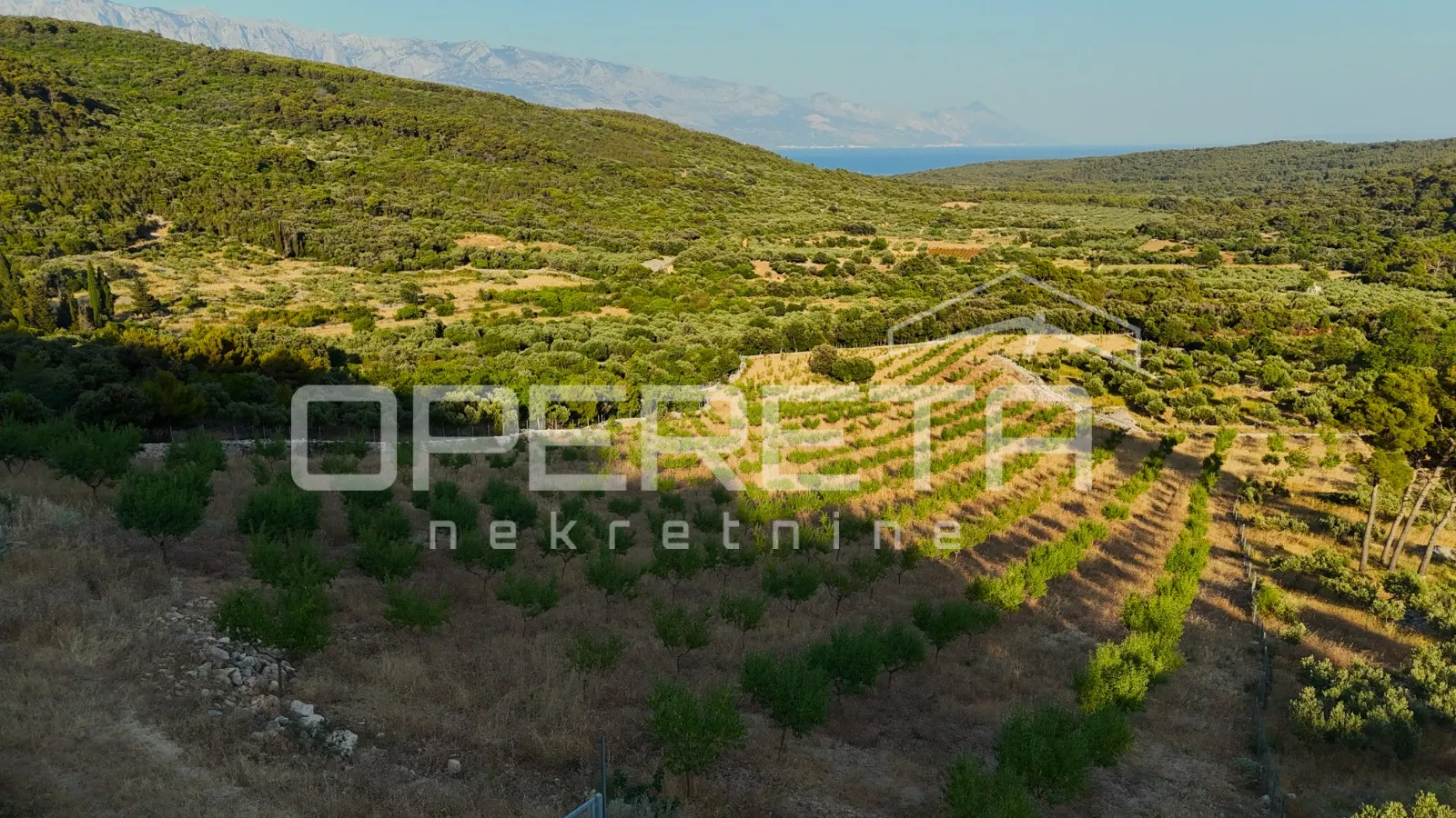 poljoprivredno zemljište s 500 badema i pogledom na more, brač - slika 8