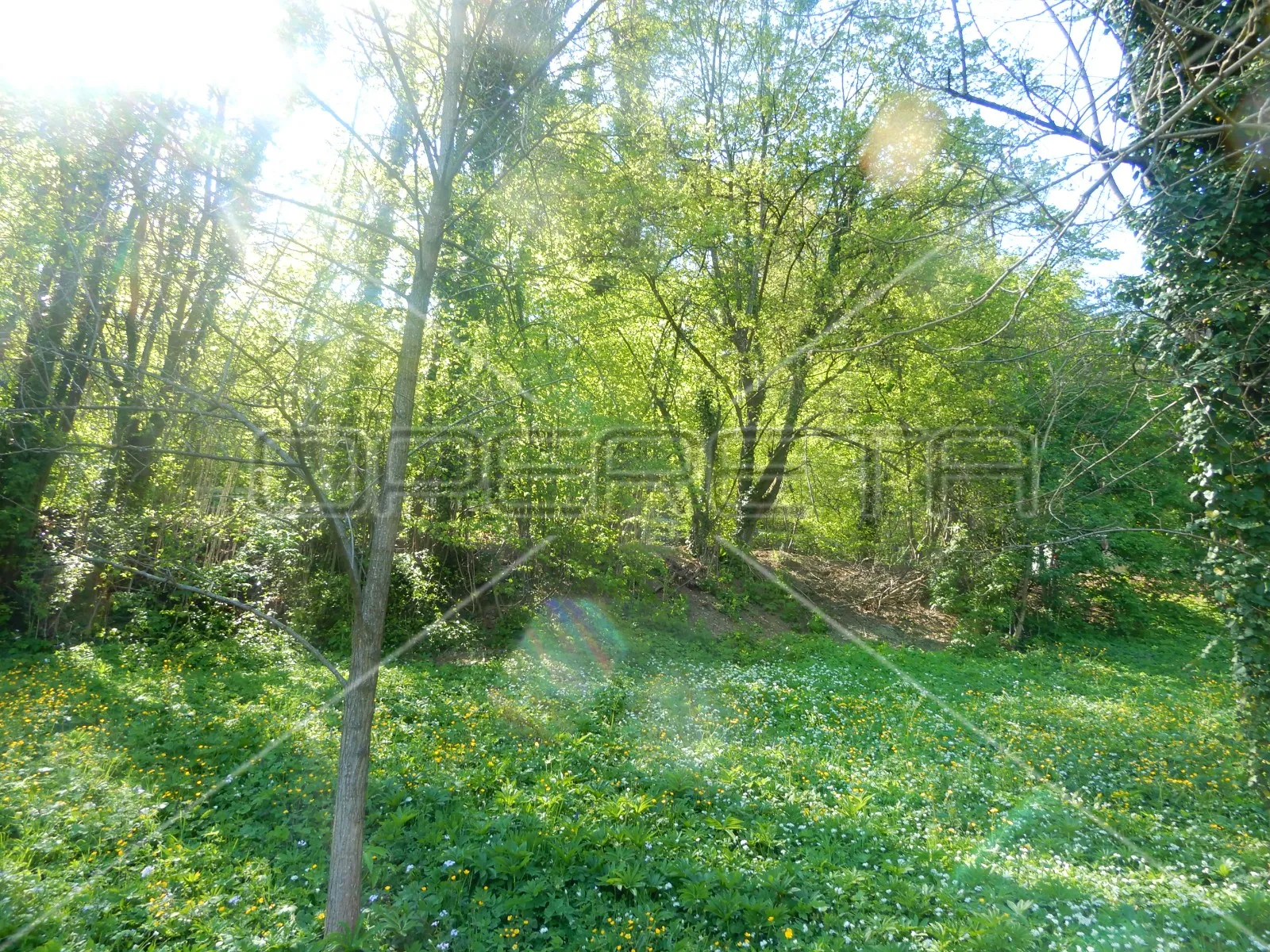 maje strozzi, samobor-centar, 3.544,00 m2, 1.063.200,00 eur - slika 6