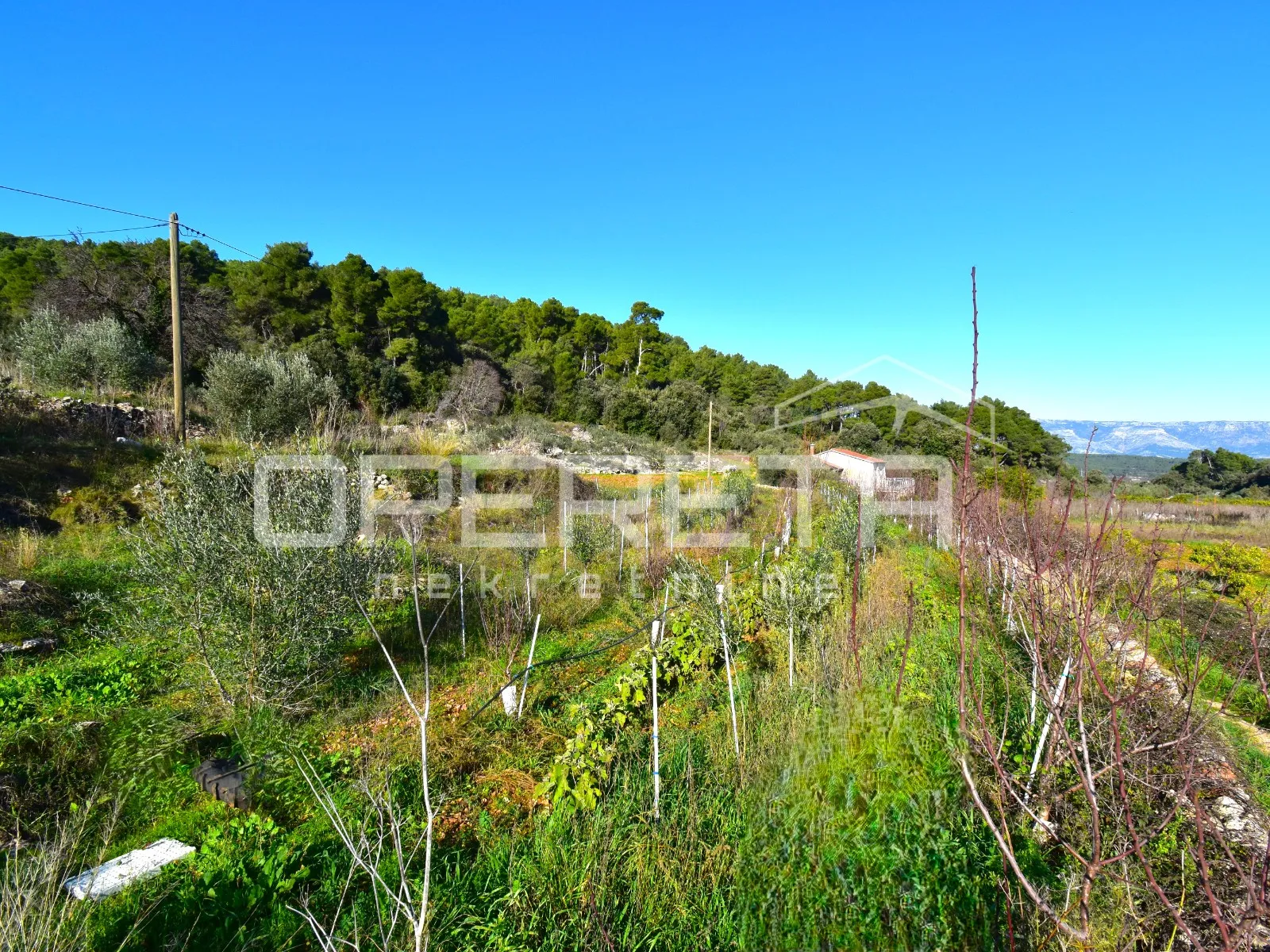 rijetka prilika – zemljište 3.112 m², dol, otok hvar - slika 12