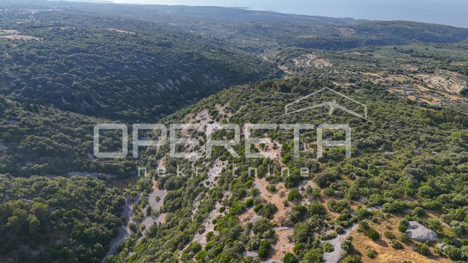 poljoprivredno zemljište u srce otoka, 29.000m2, škrip, brač - slika 16