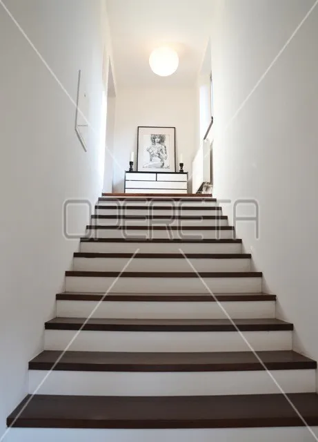 najam, kuća, jablanovec, vinski put, samostojeća, 240m2 - slika 19