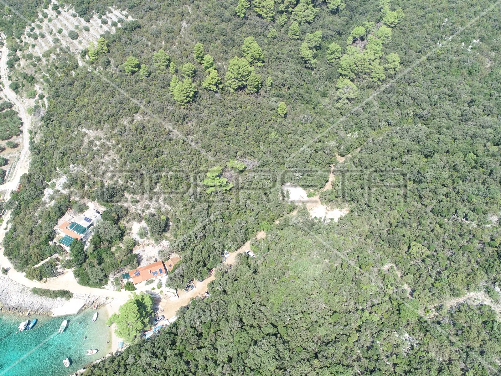 zemljište 8.079 m2 blizu mora, uvala rasohatica, korčula - slika 9