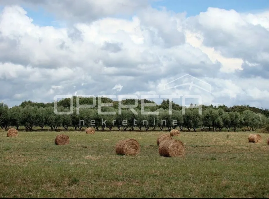 građevinski teren okružen prirodom – idealno za premium vile - slika 3