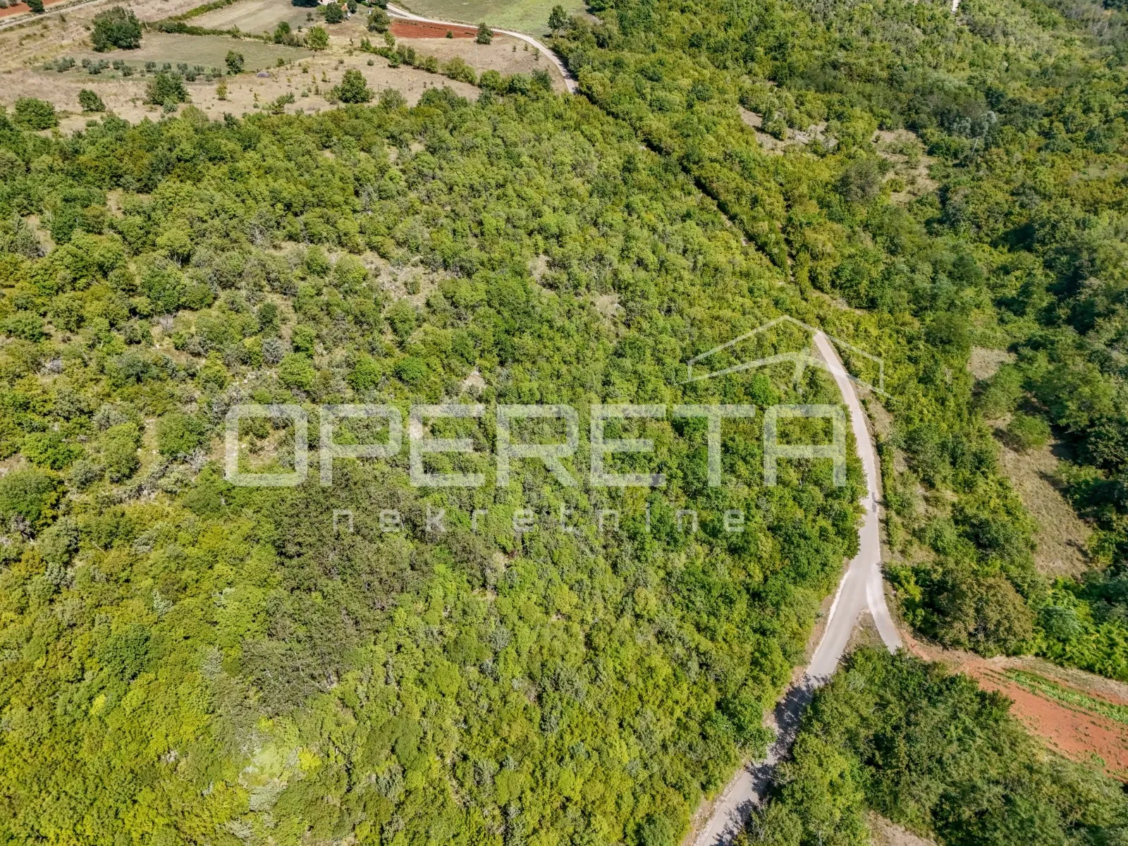 istra, šuma u okolici karojbe - slika 4