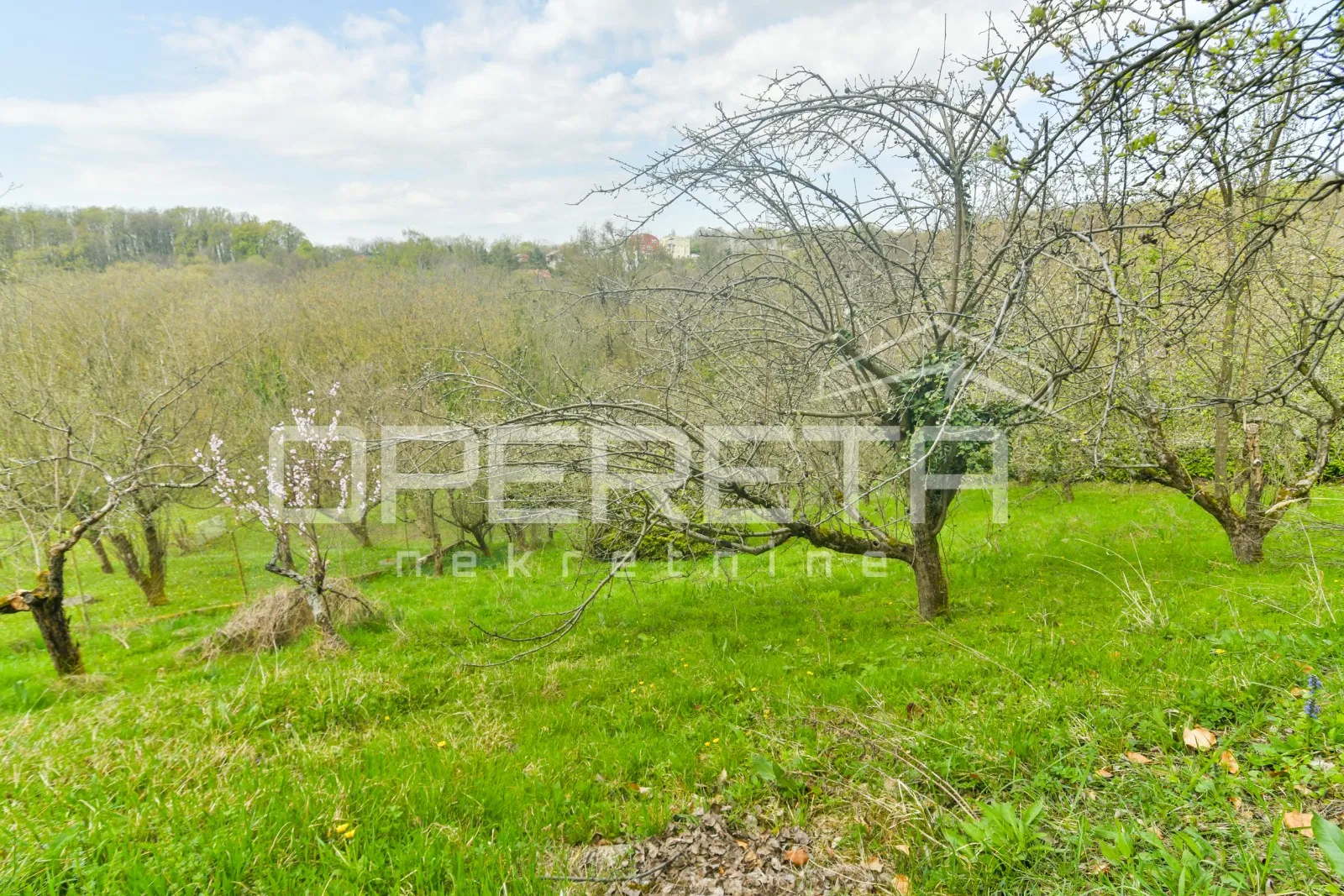 pantovčak - poslovna zgrada ( 529m2) s pomočnim objektom 200m2, najam - slika 23