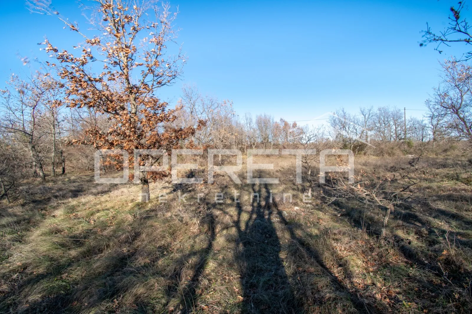 vodnjan okolica, zemljište, 464.800,00 eur - slika 5