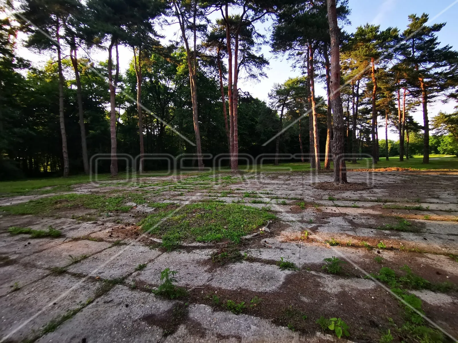mačkovec, mačkovec, 55.355,00 m2, 700.000,00 eur - slika 7