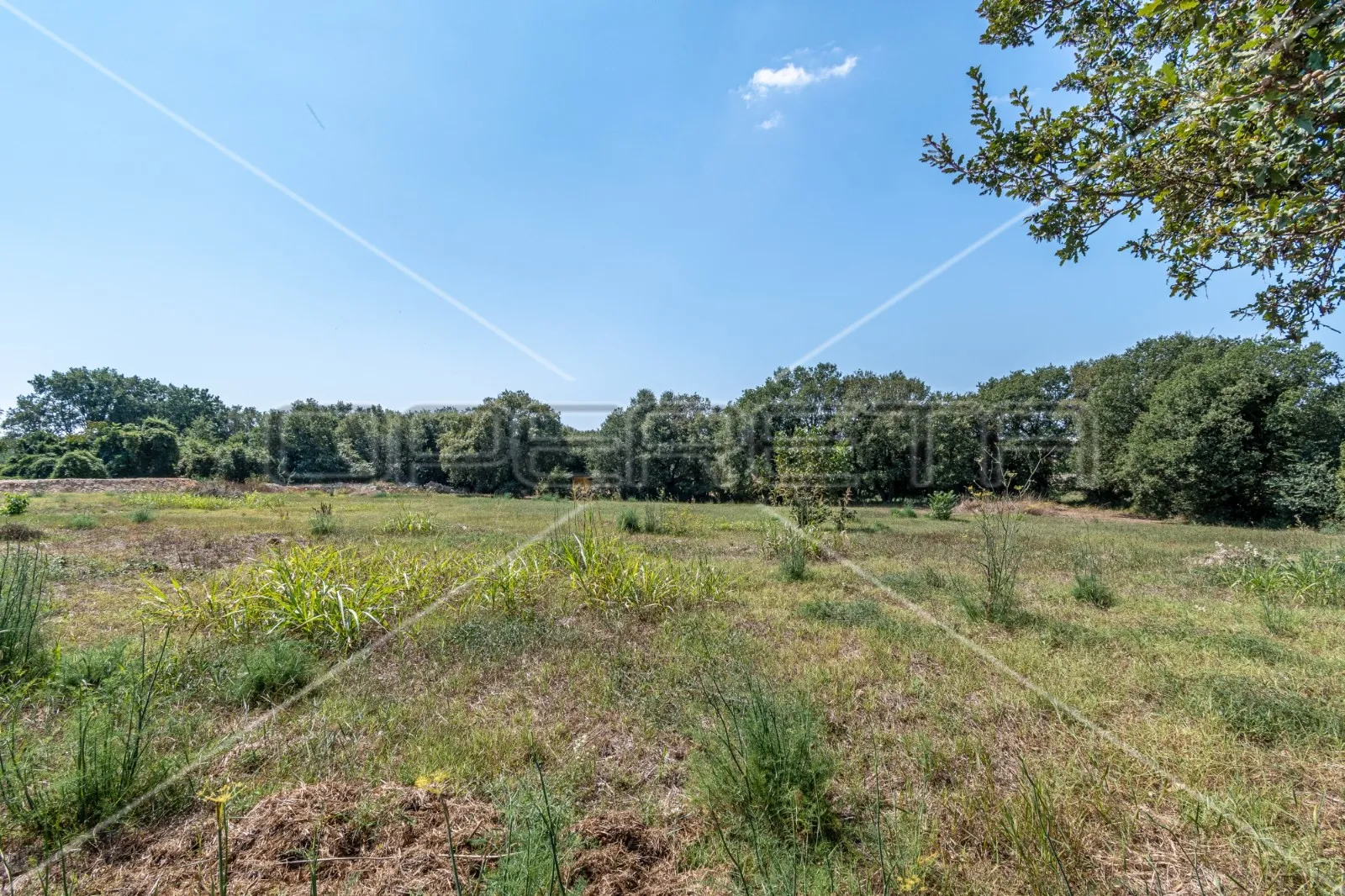 medulin, veliko građevinsko zemljište 6.699 m2 - slika 2