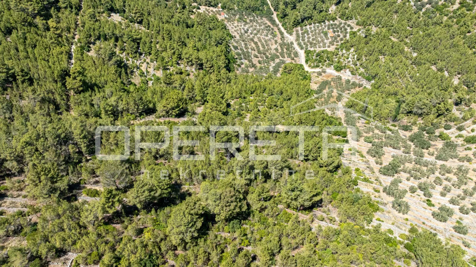 poljoprivredno zemljište,8956m2, u prirodnom okruženju – vela luka - slika 8