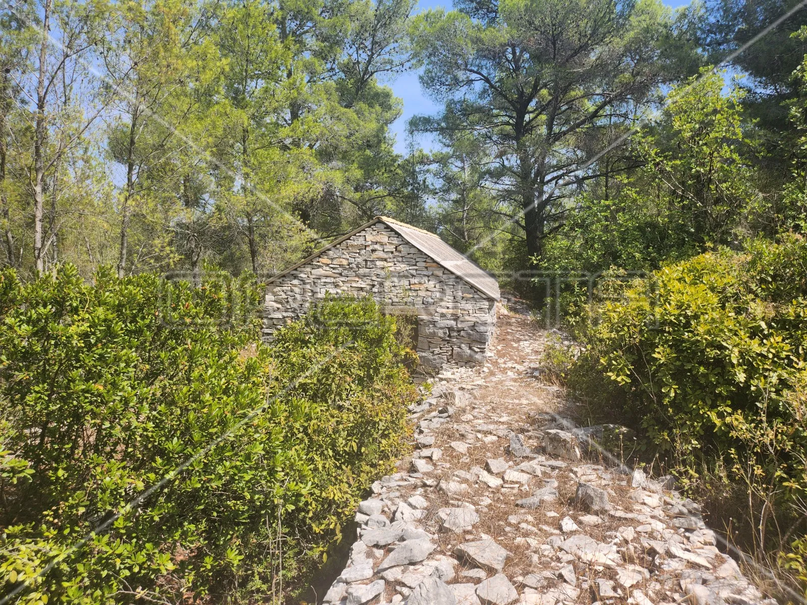 poljoprivredno zemljište s kućom – prigradica, korčula - slika 8