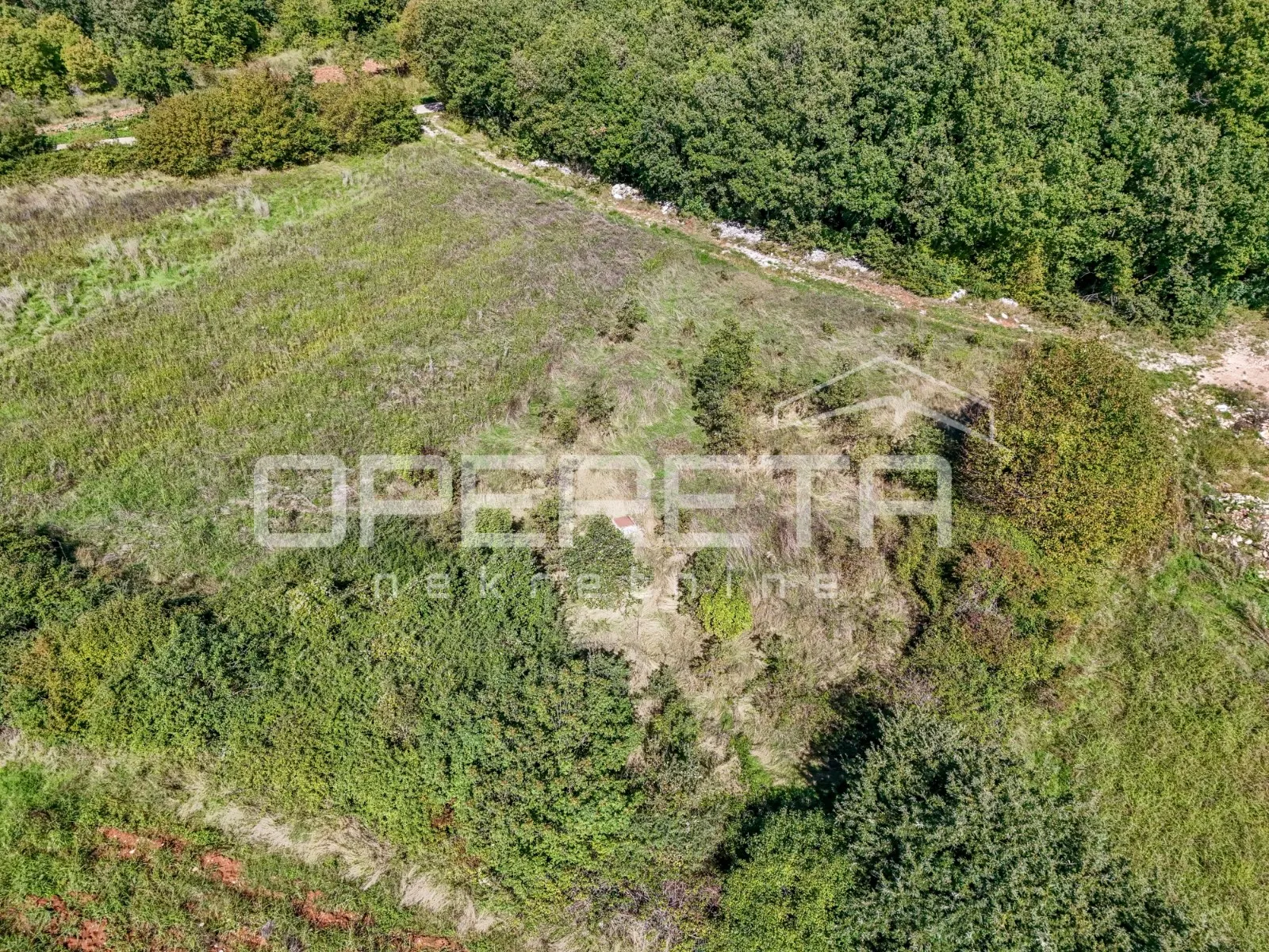 istra, sveti lovreč okolica- građevinsko zemljište u kombinaciji s poljoprivredn - slika 8