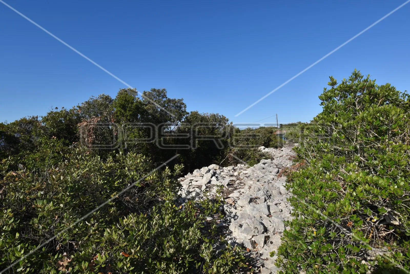 građevinsko zemljište, 2.709 m2, m1 namjena, pogled na more, nečujam, otok šolta - slika 12