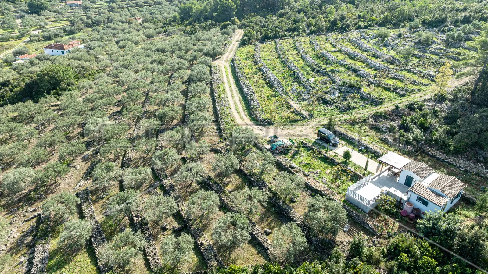 Poljoprivredno zemljište na Korčuli – 14.406 m2 za razvoj i ulaganje - Vela Luka