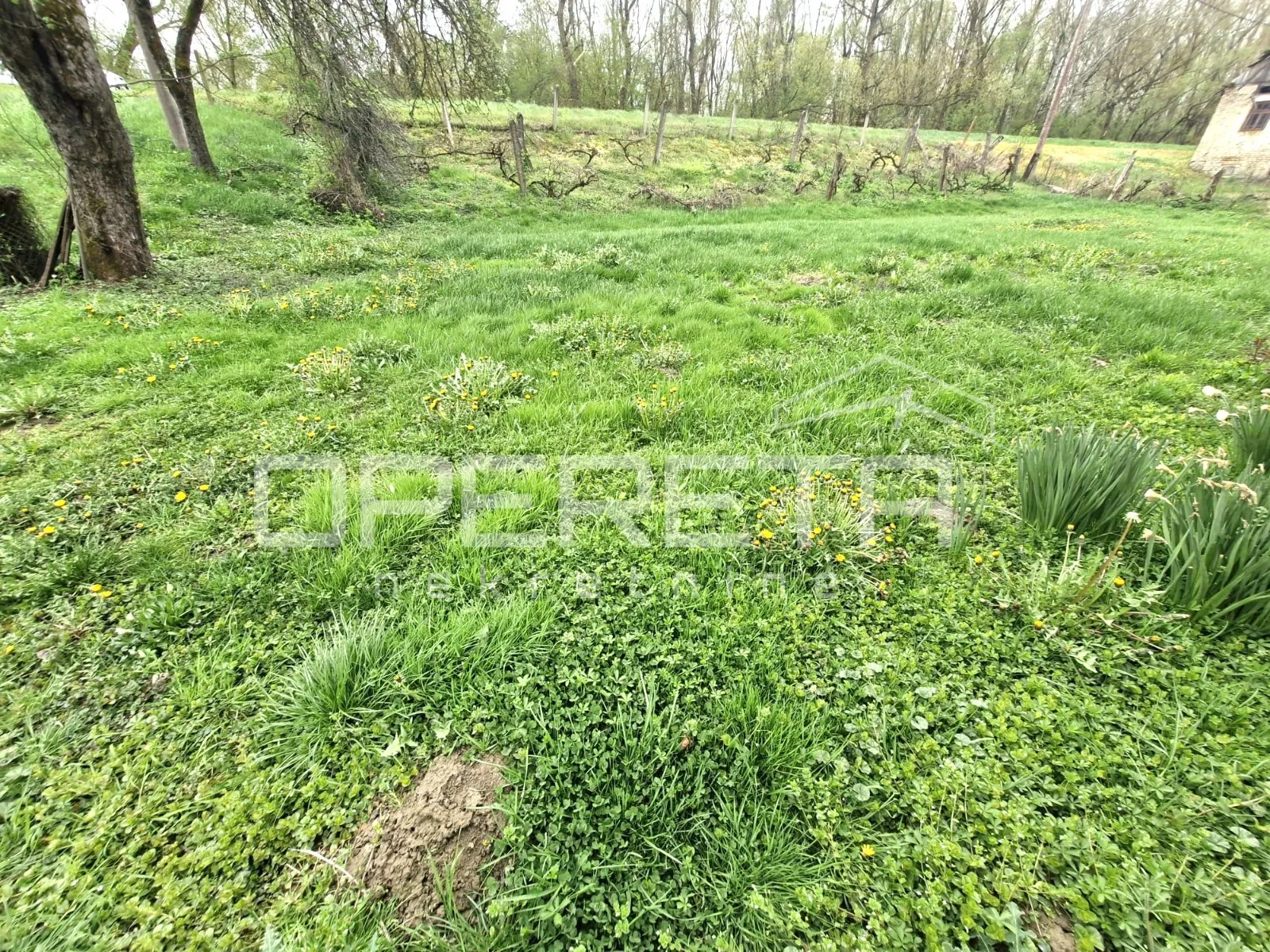 prodaja, kuća, sisak, samostojeća, 360m2 - slika 12