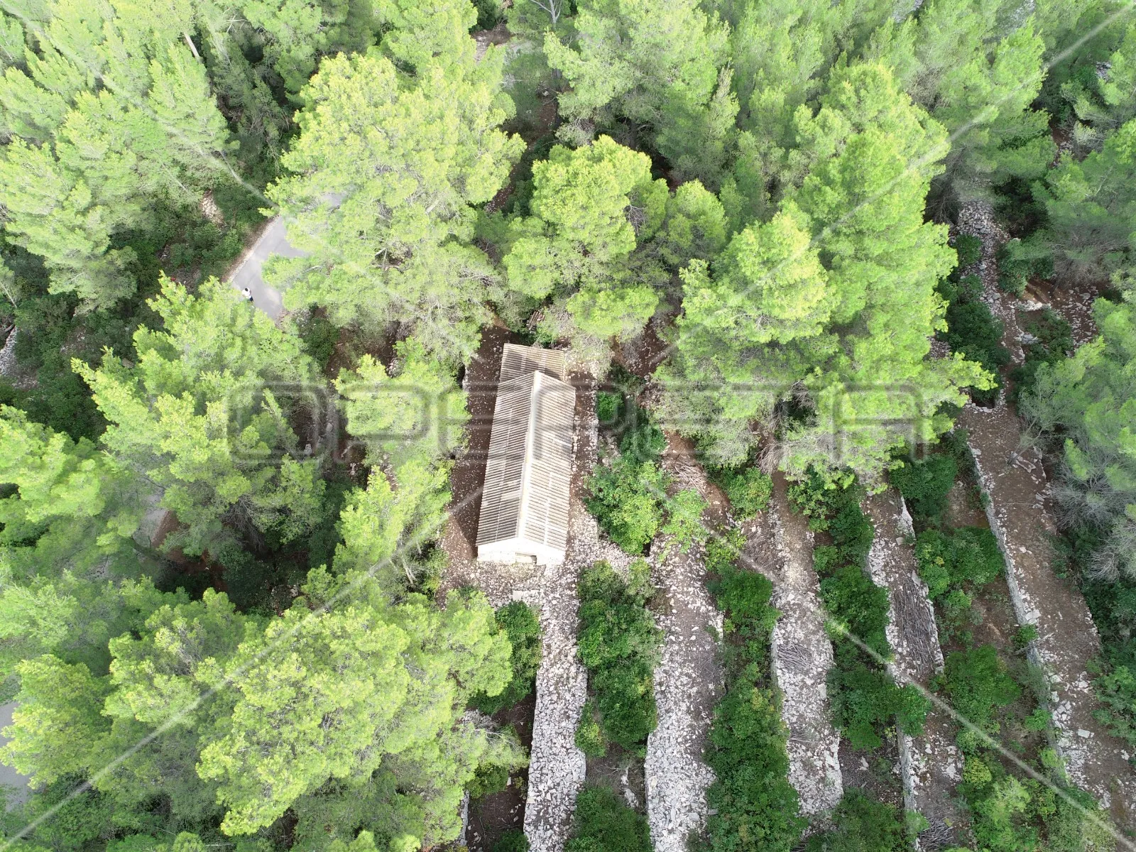 poljoprivredno zemljište s kućom – prigradica, korčula - slika 13