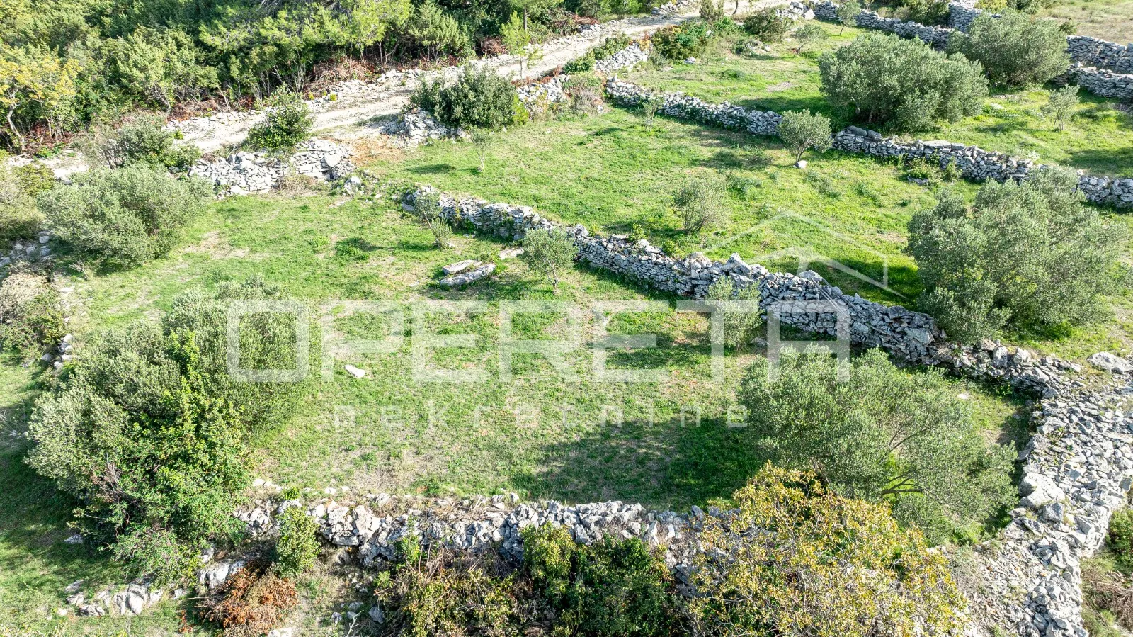 poljoprivredno zemljište od 3050 m2 s maslinama i suhozidima - slika 4