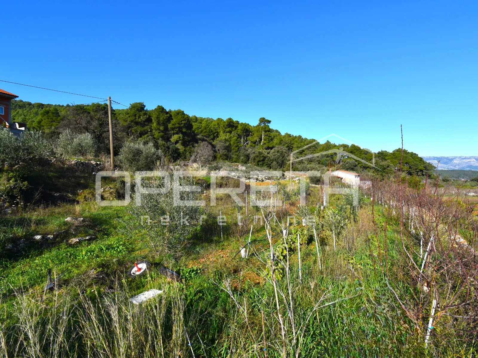 rijetka prilika – zemljište 3.112 m², dol, otok hvar - slika 10