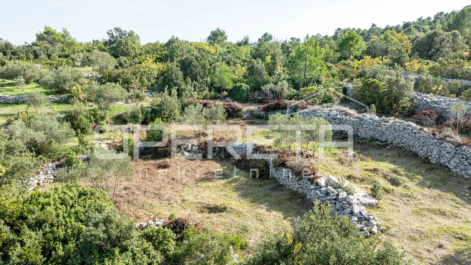 poljoprivredno zemljište od 3050 m2 s maslinama i suhozidima - slika 3