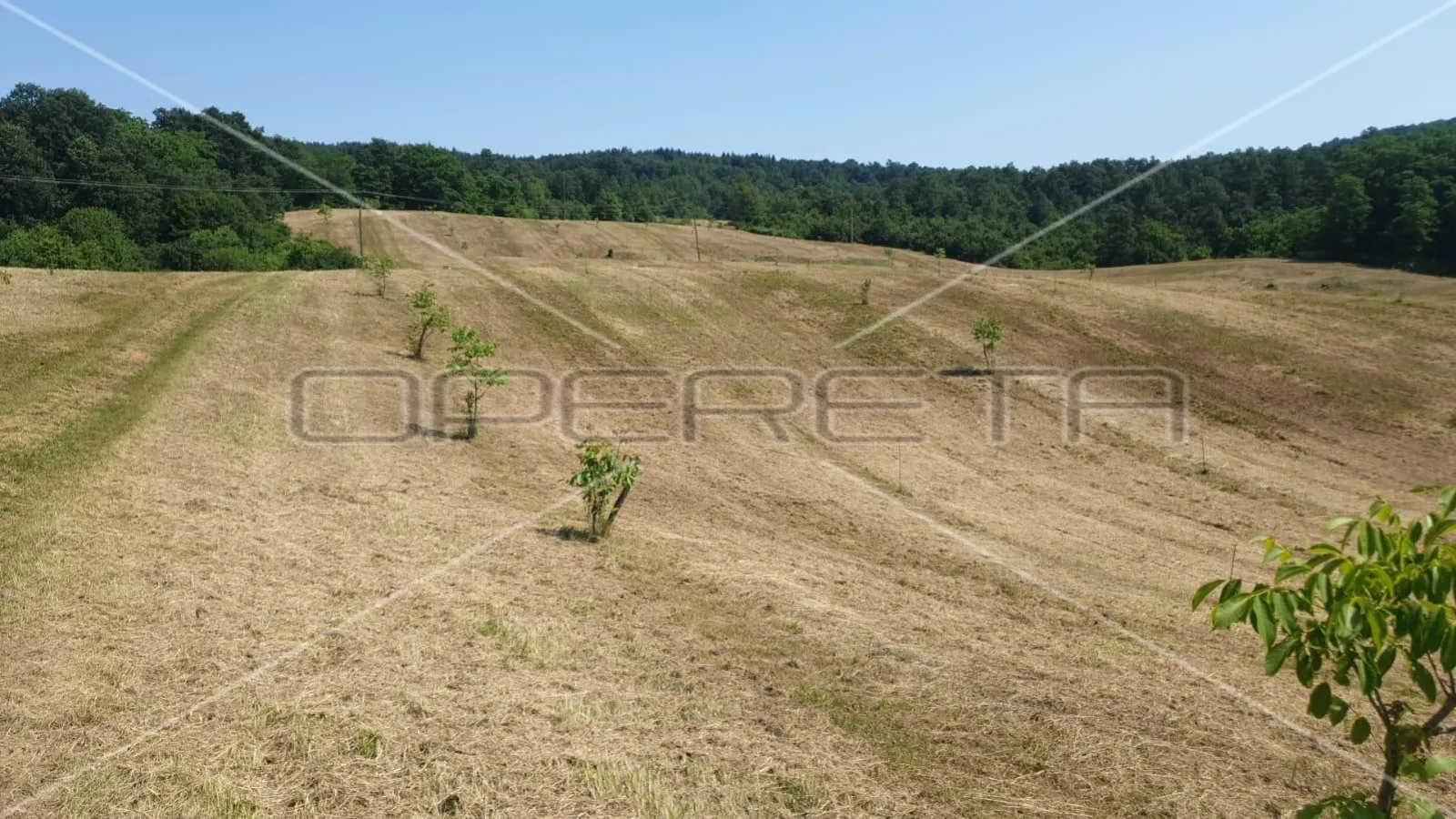 krnjak, krnjak, 320.942,00 m2, 965.512,00 eur - slika 15
