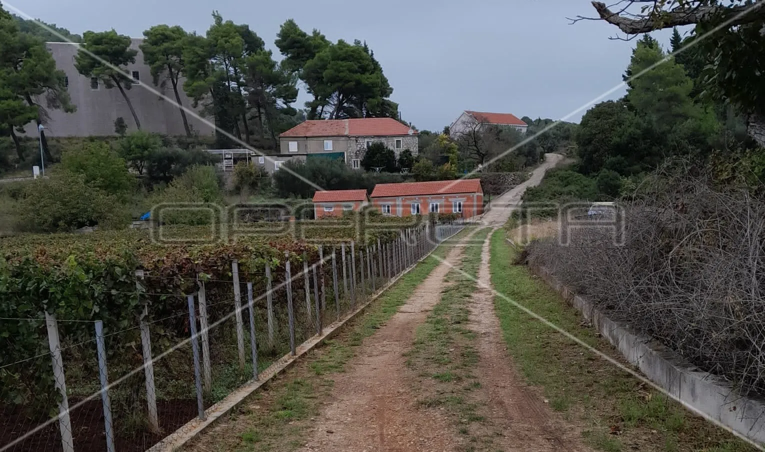 suđurađ, otok šipan, suđurađ, 29.323,00 m2, 180.000,00 eur - slika 2