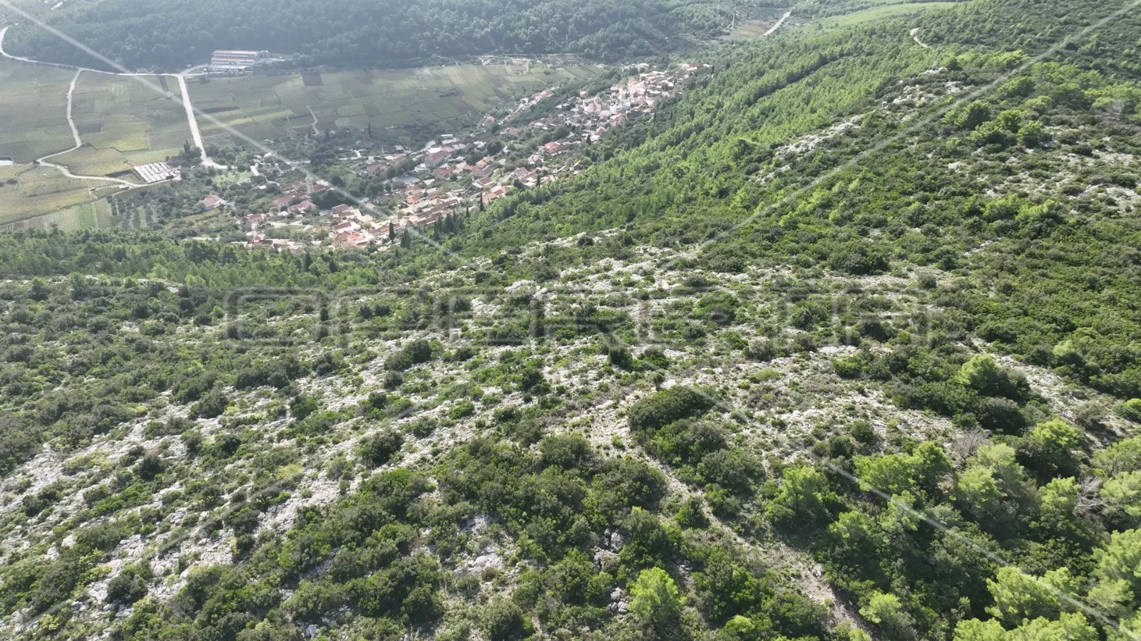 zemljište 51.000 m2 s pogledom na more, čara, korčula - slika 9