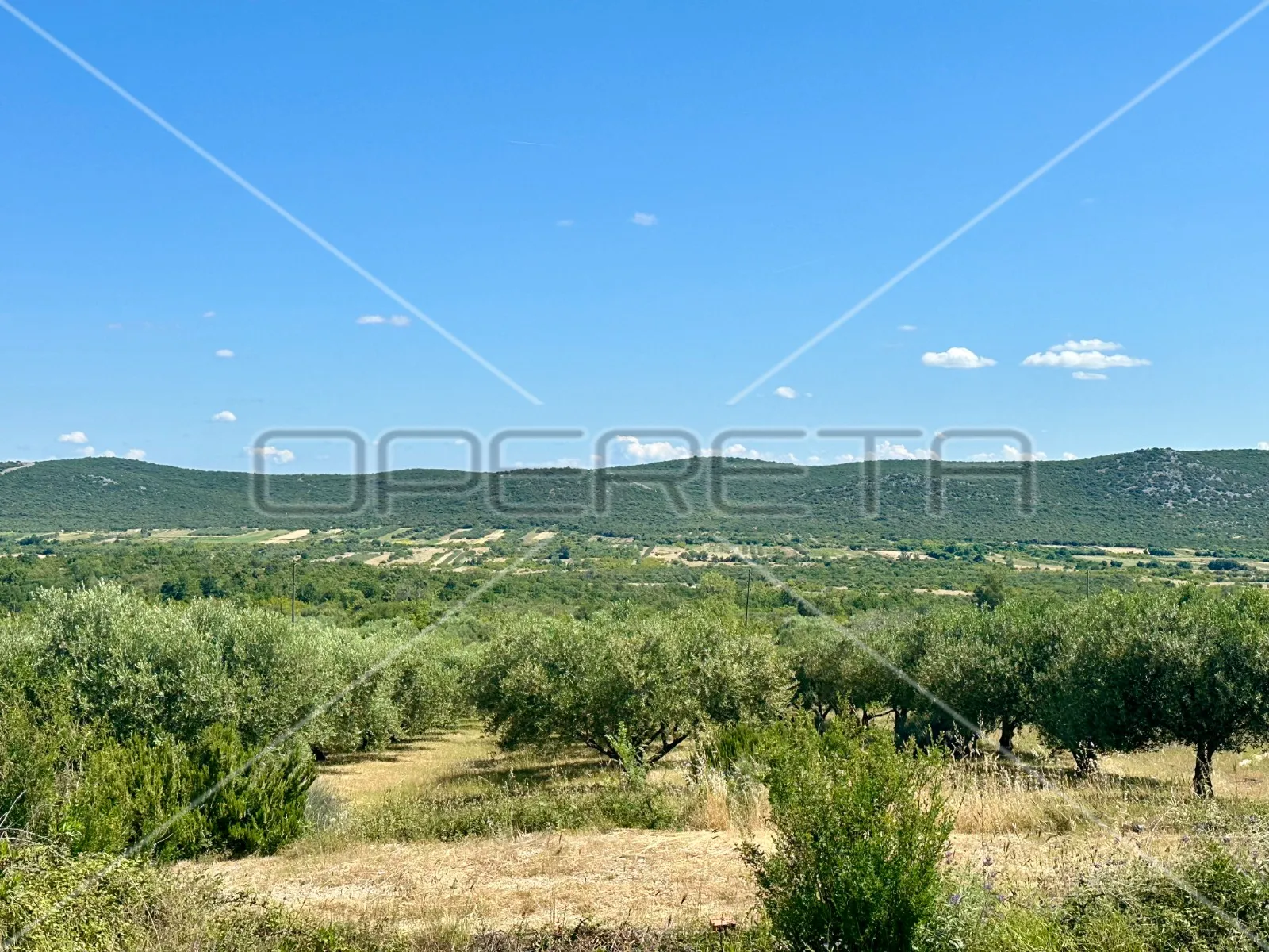 poljoprivredno zemljište idealno za agroturizam, dazlina, 45.000 m2 - slika 2