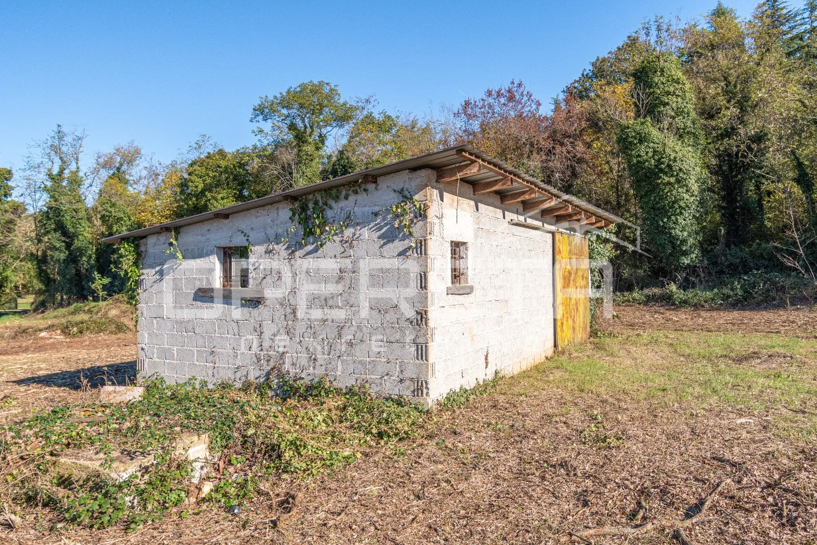 poreč - atraktivno poljoprivredno zemljište s infrastrukturom i maslinikom - slika 3