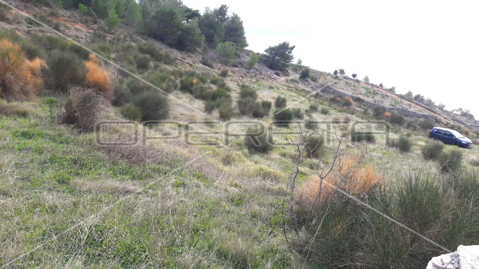 poljoprivredno zemljište s pogledom na more 27980 m2, bol, otok brač - slika 7