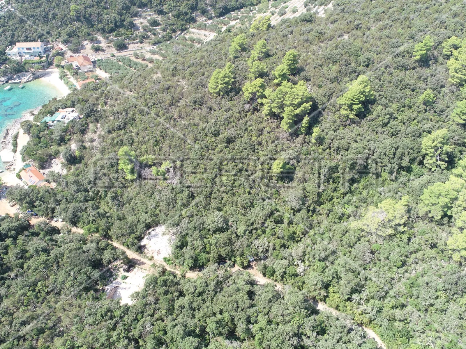 zemljište 8.079 m2 blizu mora, uvala rasohatica, korčula - slika 13
