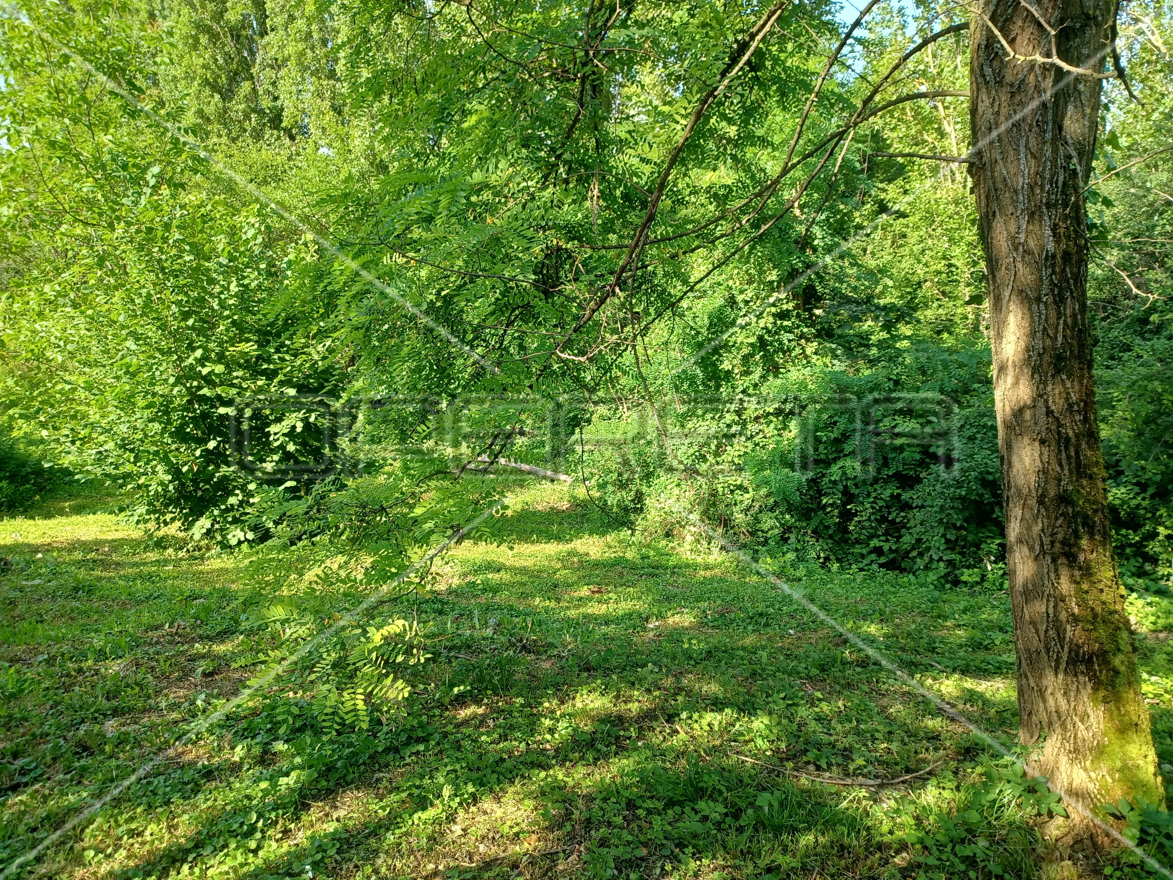 perjavica, gornji stenjevec, 2.910,00 m2, 257.500,00 eur - slika 4